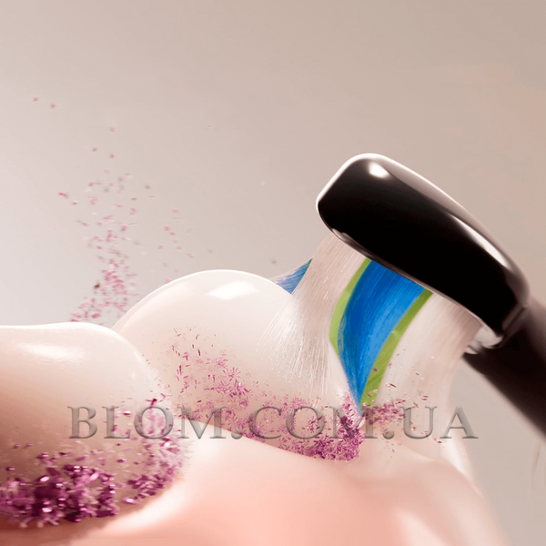 Philips Sonicare W2 Optimal White Black HX6064 насадки на чорну щітку 1126 фото